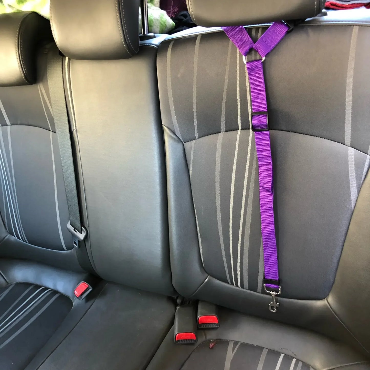 Two-In-One Pet Car Seat Belt Nylon Dogs Harness Collar